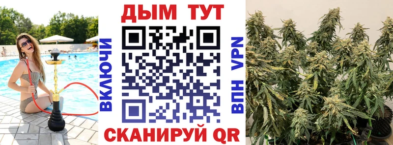 Купить где  Нальчик  Бошки Шишки марихуана 